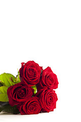 Image showing Five isolated red roses