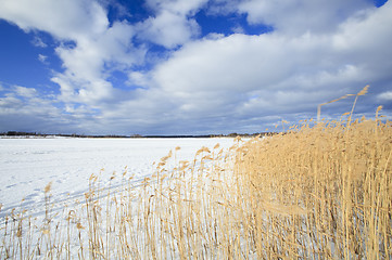 Image showing winter landscape