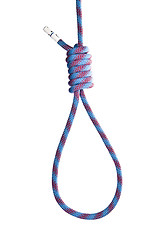 Image showing hanging noose