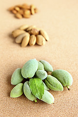 Image showing almond nuts