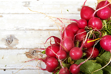 Image showing radish on grunge background