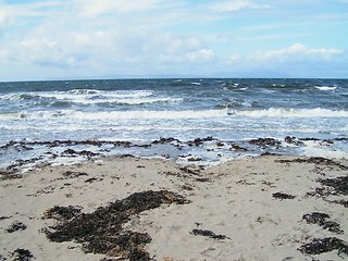 Image showing Beach