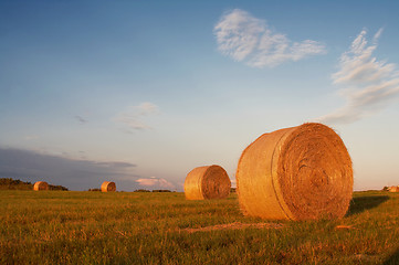 Image showing Stacks in the field