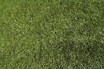 Image showing Artificial turf