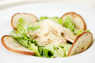 Image showing Caesar salad