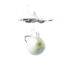 Image showing onion in water