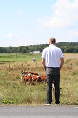 Image showing Man looking out over his land