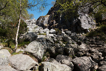 Image showing Track to Preikestolen