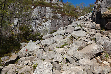 Image showing Track to Preikestolen