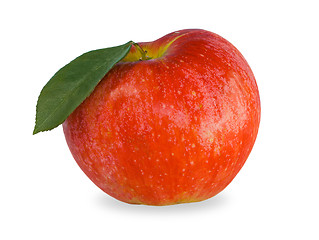 Image showing apple isolated