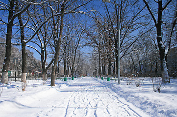Image showing landscape park in winter 