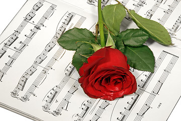 Image showing rose over note