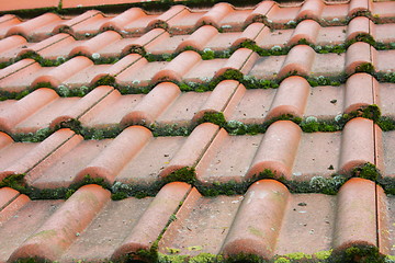 Image showing Tile roof 