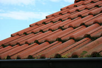 Image showing Tile roof 