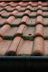 Image showing Tile roof covered