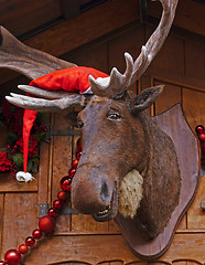 Image showing Christmas Moose