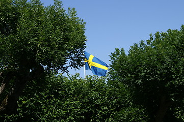 Image showing Swedish flag