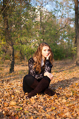 Image showing Girl sitting in leaves