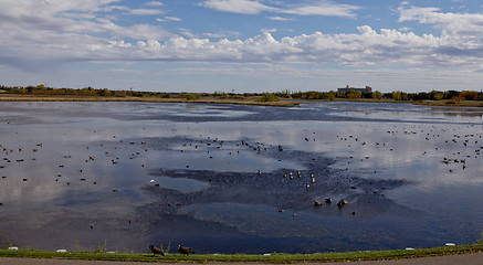 Image showing The pond