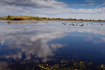 Image showing The pond