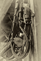 Image showing The cowboy saddle parts