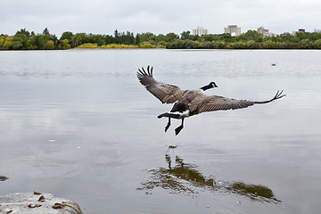 Image showing Flight