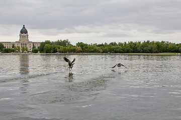 Image showing Racing on water