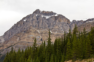 Image showing Canadian Rockies
