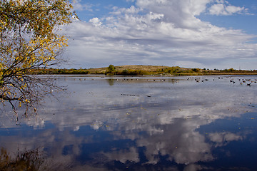 Image showing The pond