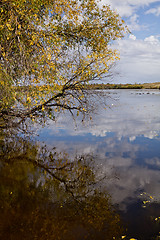 Image showing The pond