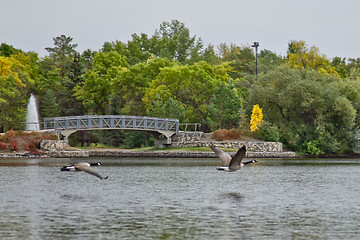 Image showing Running on water