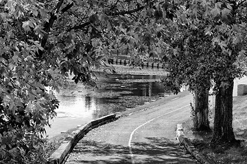 Image showing The walkway by the pond