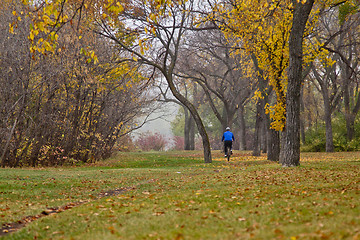 Image showing Autumn in Regina