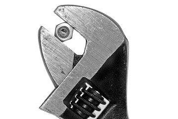 Image showing Adjustable wrench with a firm grip on a nut and bolt