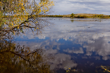 Image showing The pond