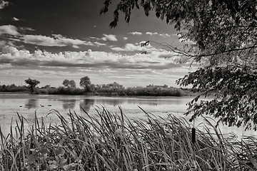 Image showing The pond