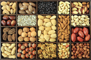 Image showing Nuts