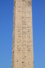 Image showing Rome - Egyptian obelisk