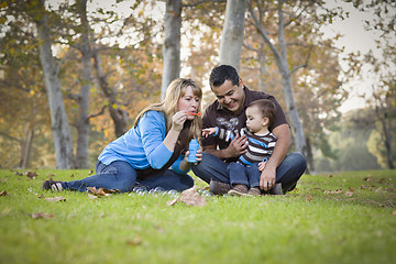 Image showing Happy Mixed Race Ethnic Family Playing with Bubbles In The Park