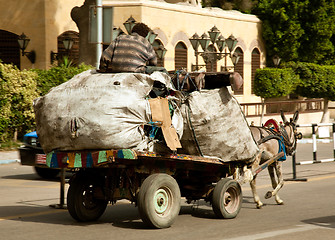 Image showing Zabbaleen trash collectors on horse and cart