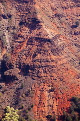 Image showing Backlit view down Waimea Canyon