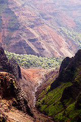 Image showing Backlit view down Waimea Canyon