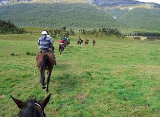 Image showing Horse ride into the countryside