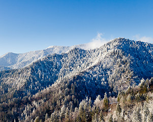 Image showing Mount leconte in snow in smokies