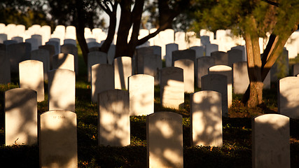 Image showing Row of grave stones in Arlington