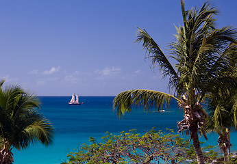 Image showing Boat sails between palm trees
