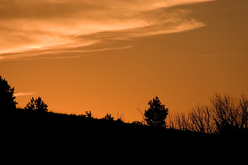 Image showing Silhouette of Bushes on the Mountain