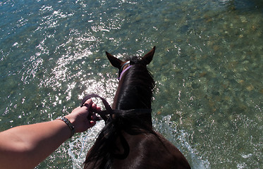 Image showing Crossing river on horseback