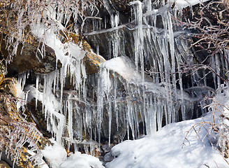 Image showing Weeping wall in Smoky Mountains covered in ice