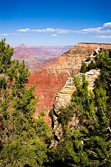 Image showing  Overview of a Grand Canyon valley framed by trees